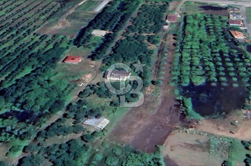 Samsun Terme'de 7.690 m² Konut İmarlı Arsa