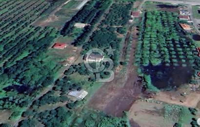 Samsun Terme'de 7.690 m² Konut İmarlı Arsa