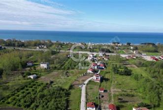 Samsun Terme'de Ticari + Konut İmarlı, 2.850 m², Yola Cephe Arsa - 11 - 352195