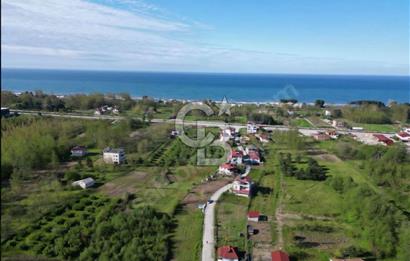 Samsun Terme'de Ticari + Konut İmarlı, 2.850 m², Yola Cephe Arsa