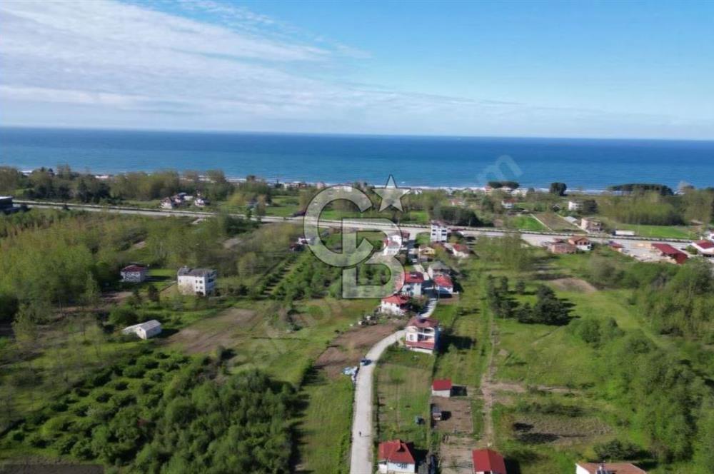 Samsun Terme'de Ticari + Konut İmarlı, 2.850 m², Yola Cephe Arsa