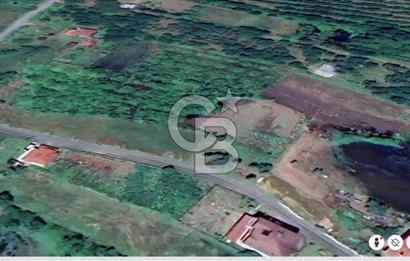 Samsun Terme'de 7.690 m² Konut İmarlı Arsa
