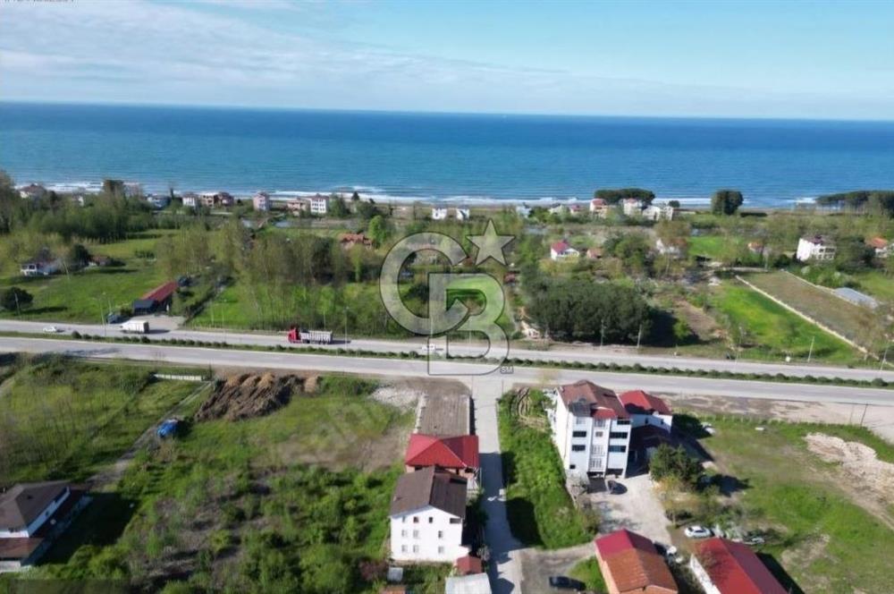 Samsun Terme'de Ticari + Konut İmarlı, 2.850 m², Yola Cephe Arsa