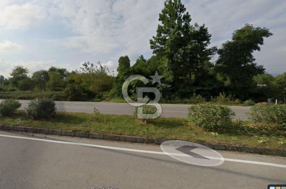 Samsun Terme'de Ticari + Konut İmarlı, 2.850 m², Yola Cephe Arsa