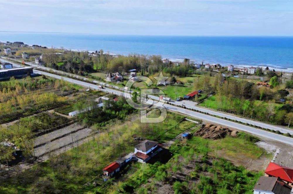 Samsun Terme'de Ticari + Konut İmarlı, 2.850 m², Yola Cephe Arsa