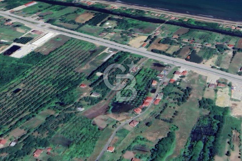 Samsun Terme'de 7.690 m² Konut İmarlı Arsa