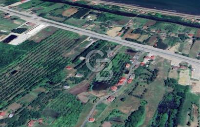 Samsun Terme'de 7.690 m² Konut İmarlı Arsa
