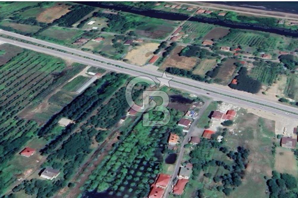Samsun Terme'de 7.690 m² Konut İmarlı Arsa