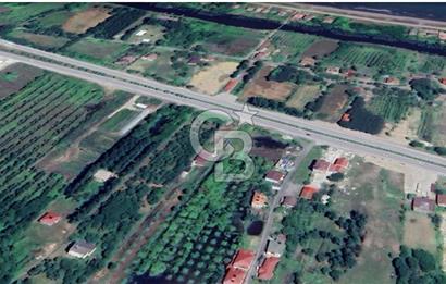 Samsun Terme'de 7.690 m² Konut İmarlı Arsa