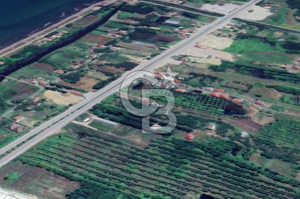 Samsun Terme'de 7.690 m² Konut İmarlı Arsa