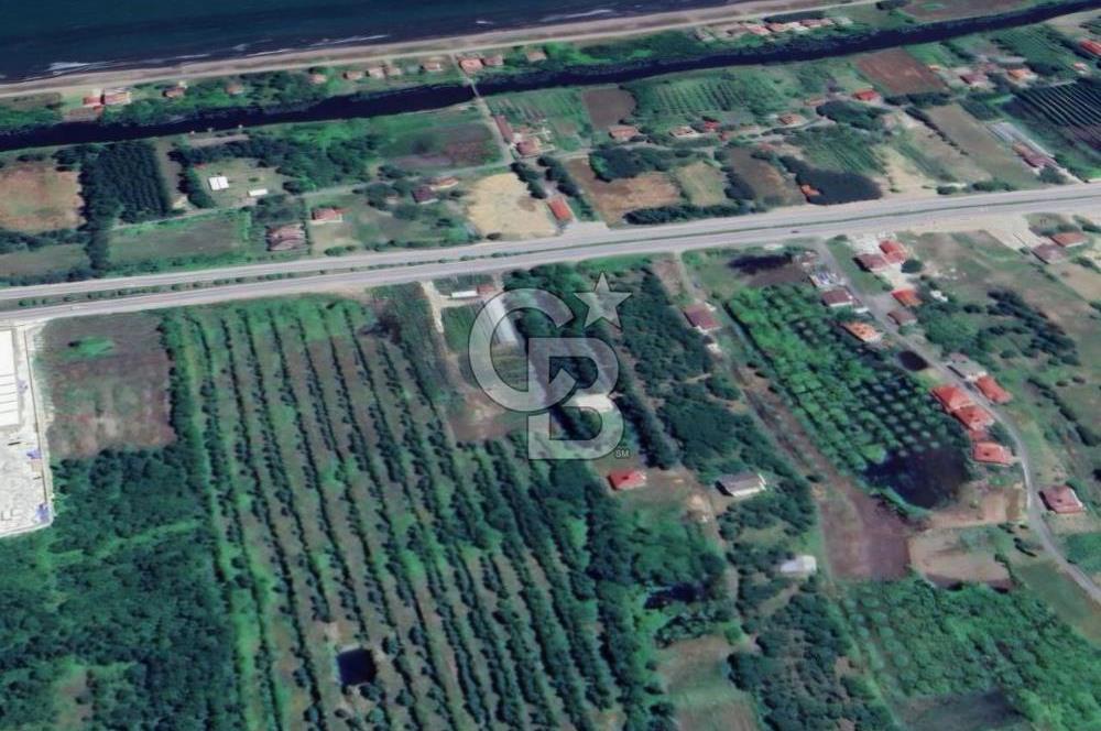 Samsun Terme'de Ticari + Konut İmarlı, 2.850 m², Yola Cephe Arsa