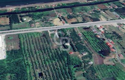 Samsun Terme'de Ticari + Konut İmarlı, 2.850 m², Yola Cephe Arsa