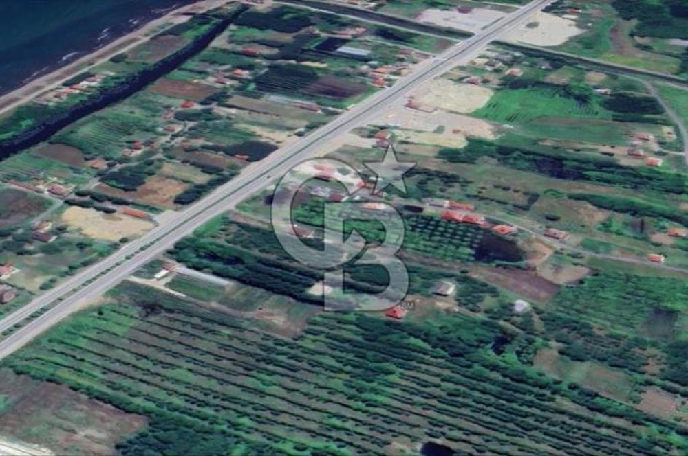 Samsun Terme'de Ticari + Konut İmarlı, 2.850 m², Yola Cephe Arsa