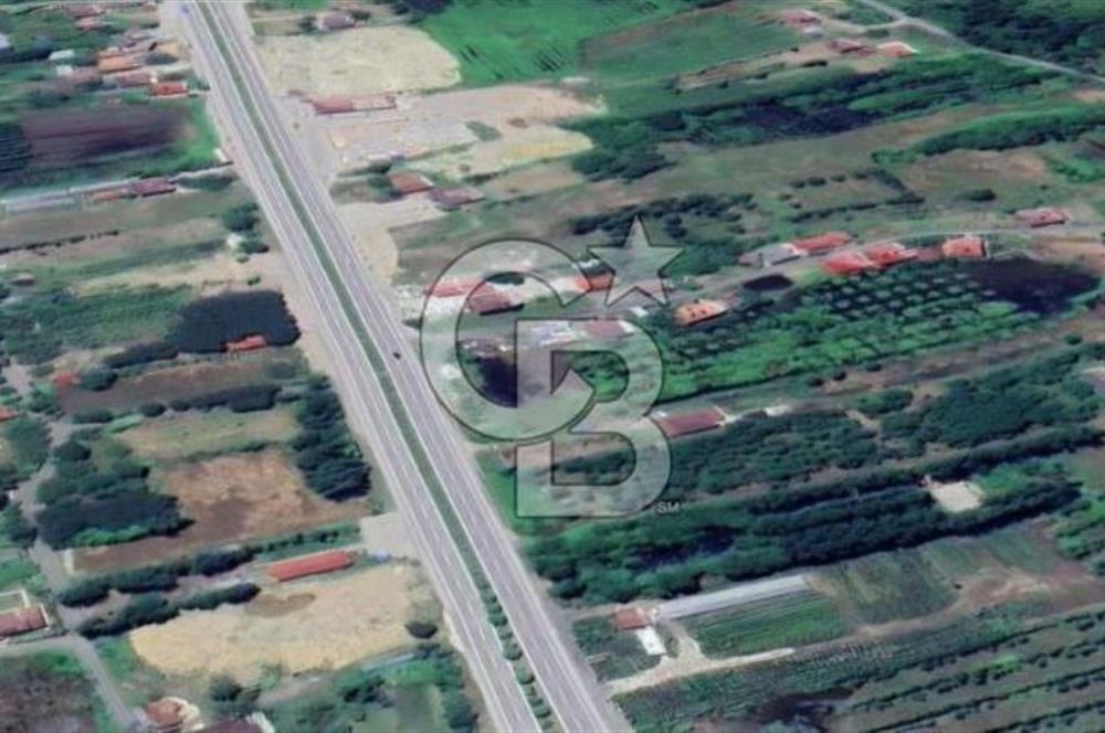 Samsun Terme'de Ticari + Konut İmarlı, 2.850 m², Yola Cephe Arsa