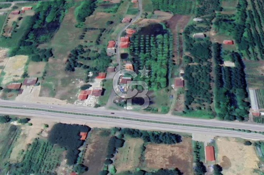 Samsun Terme'de 7.690 m² Konut İmarlı Arsa