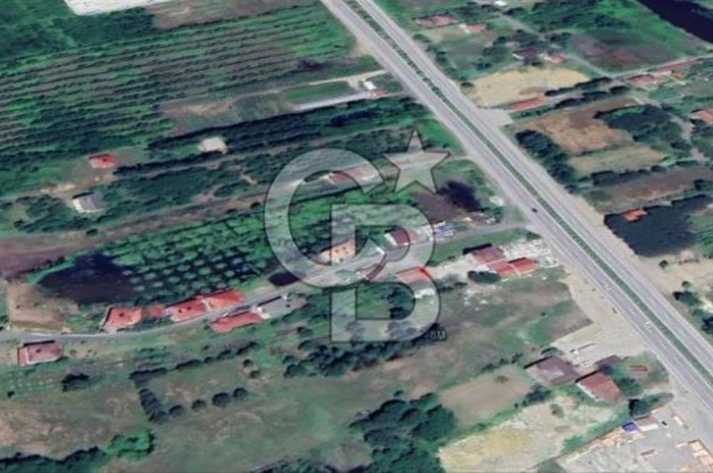 Samsun Terme'de 7.690 m² Konut İmarlı Arsa