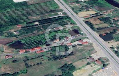Samsun Terme'de 7.690 m² Konut İmarlı Arsa