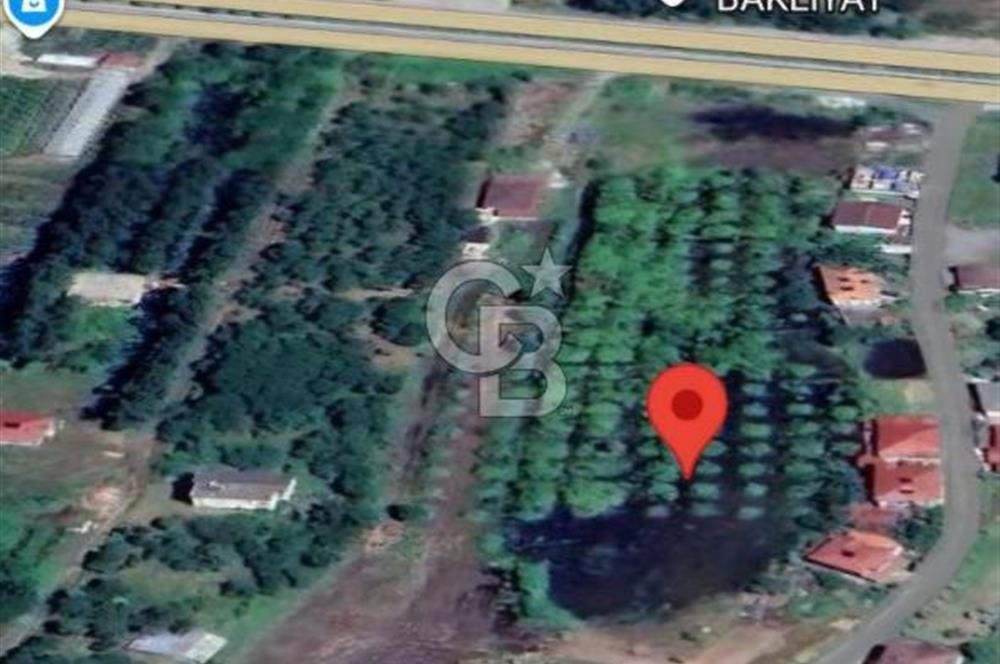 Samsun Terme'de 7.690 m² Konut İmarlı Arsa