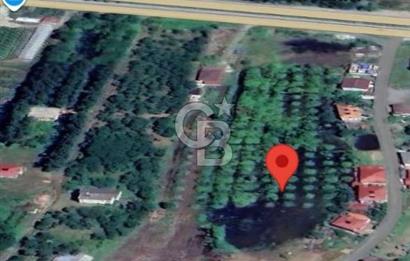 Samsun Terme'de 7.690 m² Konut İmarlı Arsa