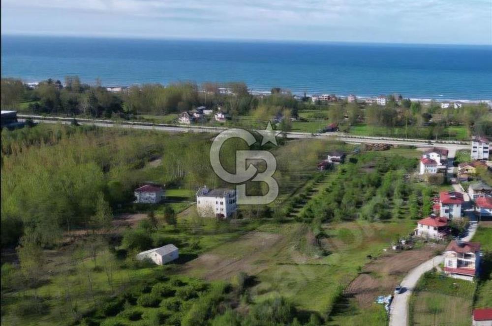 Samsun Terme'de 7.690 m² Konut İmarlı Arsa