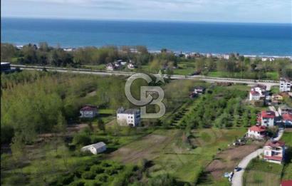 Samsun Terme'de 7.690 m² Konut İmarlı Arsa