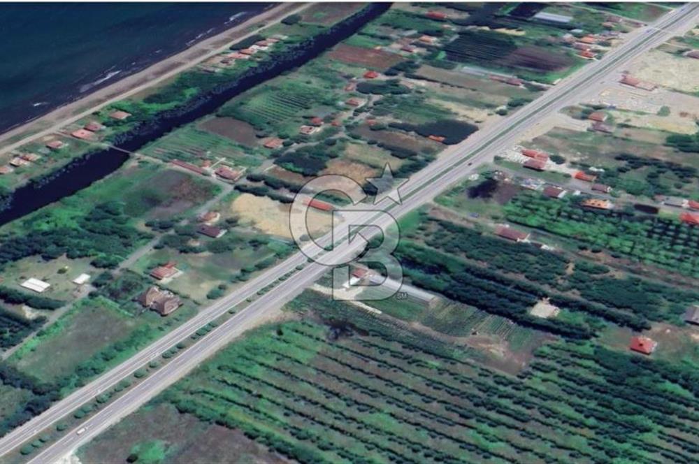 Samsun Terme'de Ticari + Konut İmarlı, 2.850 m², Yola Cephe Arsa