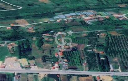Samsun Terme'de 7.690 m² Konut İmarlı Arsa