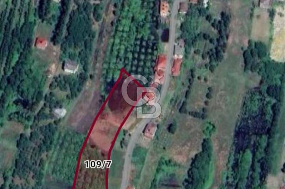 Samsun Terme'de 7.690 m² Konut İmarlı Arsa