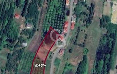 Samsun Terme'de 7.690 m² Konut İmarlı Arsa
