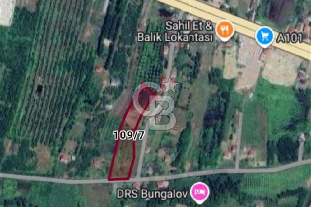 Samsun Terme'de 7.690 m² Konut İmarlı Arsa