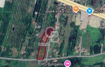 Samsun Terme'de 7.690 m² Konut İmarlı Arsa