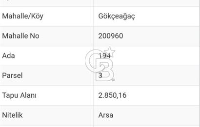 Samsun Terme'de Ticari + Konut İmarlı, 2.850 m², Yola Cephe Arsa