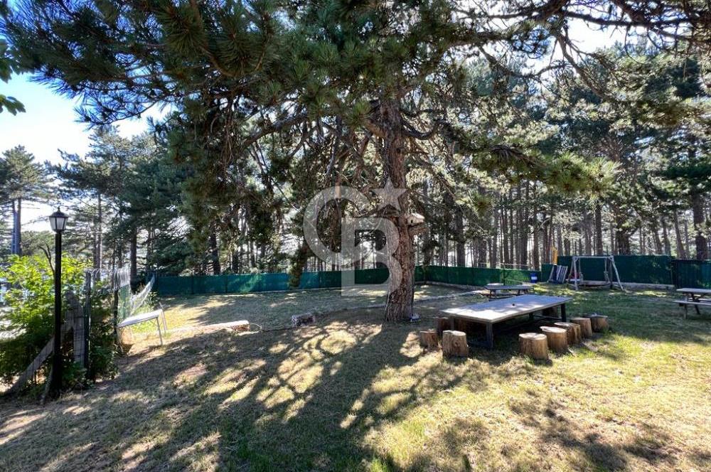 BURSA, ULUDAĞ YOLU ÜZERİ KİRAZLI'DA SATILIK DAĞ EVİ