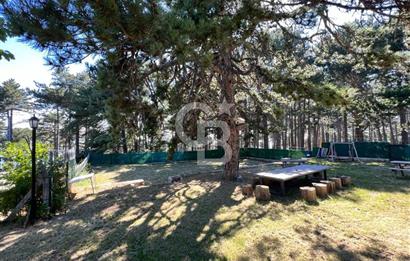 BURSA, ULUDAĞ YOLU ÜZERİ KİRAZLI'DA SATILIK DAĞ EVİ