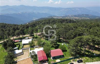 BURSA, ULUDAĞ YOLU ÜZERİ KİRAZLI'DA SATILIK DAĞ EVİ