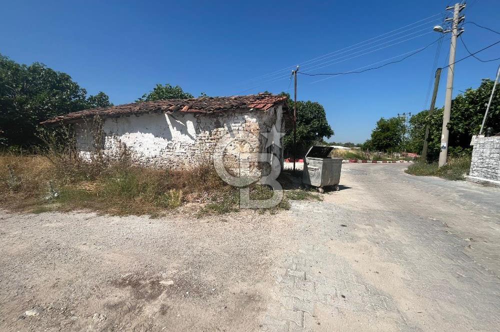 İzmir Torbalı Yoğurtçular 170 m2 Satılık Arsa