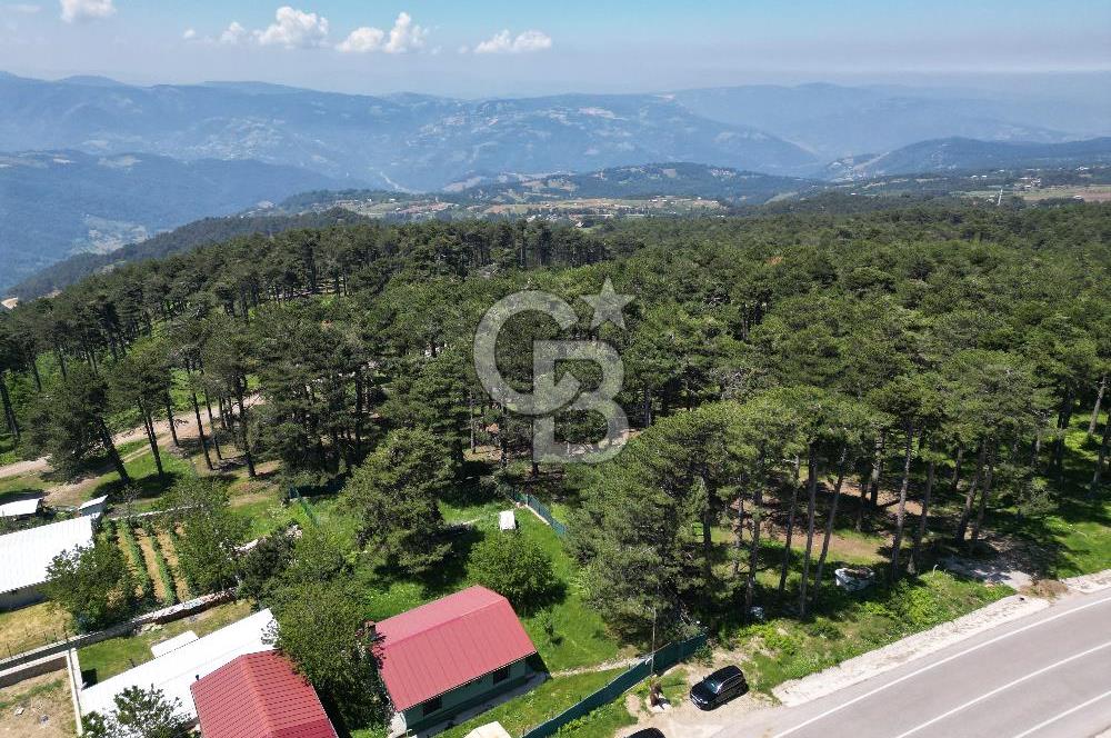 BURSA, ULUDAĞ YOLU ÜZERİ KİRAZLI'DA SATILIK DAĞ EVİ