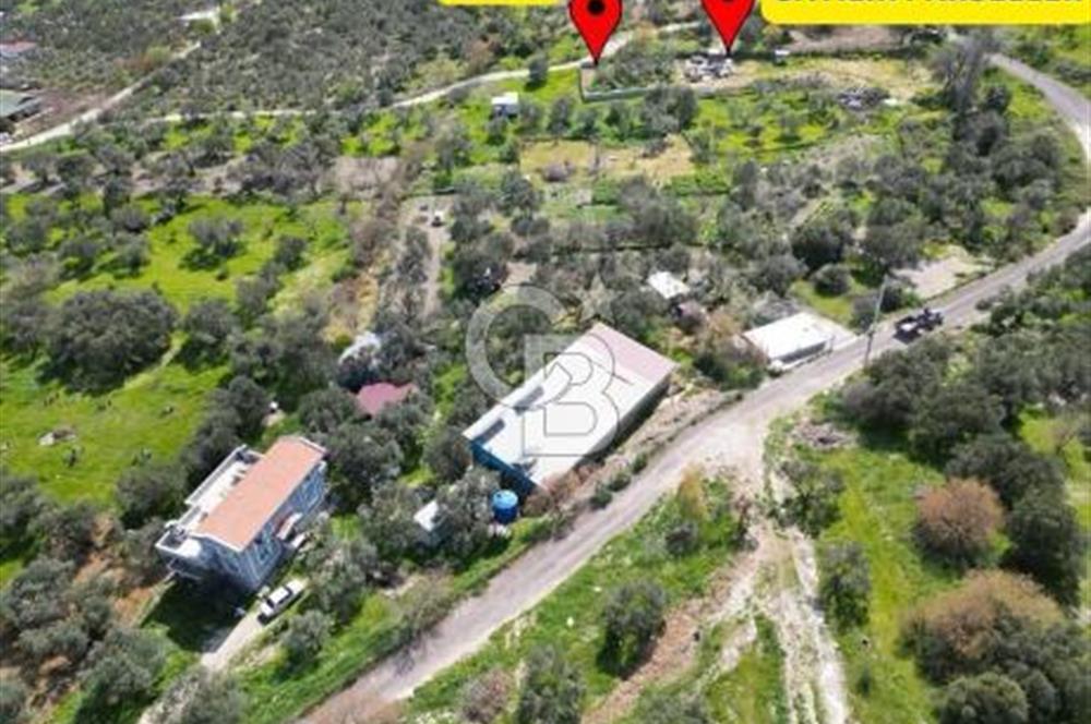 HELVACI BARBAROS HAYRETTİN PAŞA SATILIK HİSSELİ TARLA