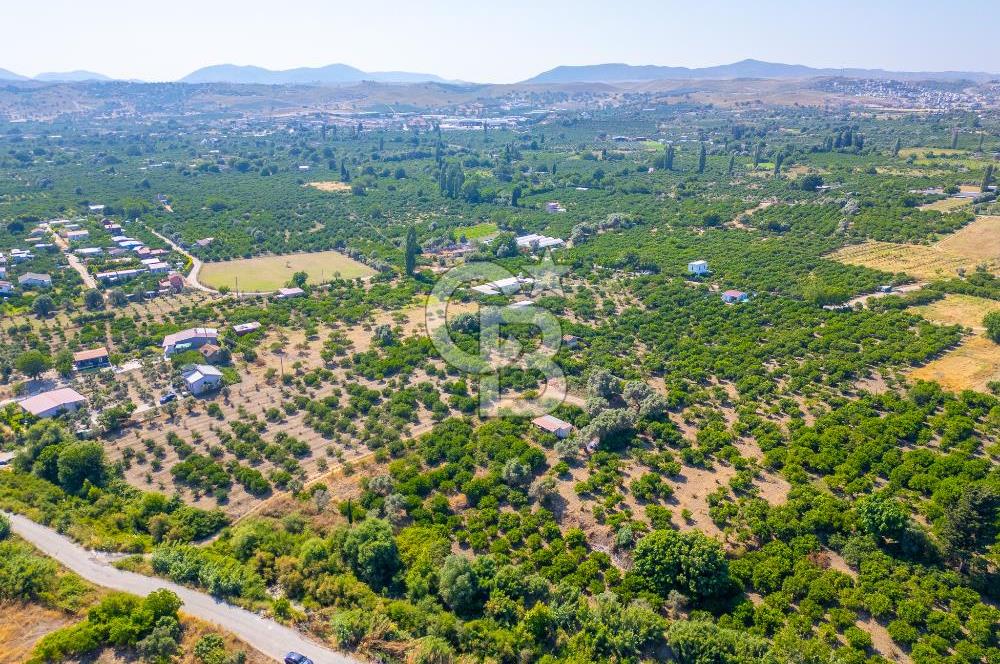 Seferihisar Hıdırlık’ta Satılık Tarla Denize yakın 