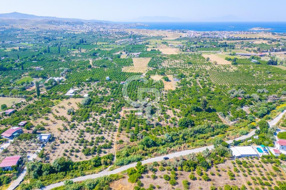 Seferihisar Hıdırlık’ta Satılık Tarla Denize yakın 