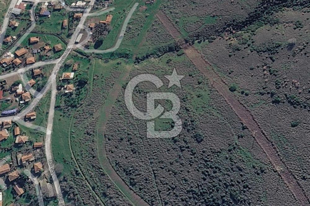 CB ODAK'TAN ALİAĞA ÇALTILIDERE'DE SATILIK TARLA HİSSESİ