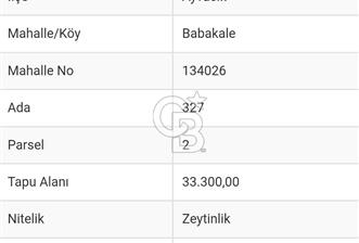 Çanakkale Ayvacık 33.300 metrekare Zeytinlik (Tek Hisse) - 2 - 352259