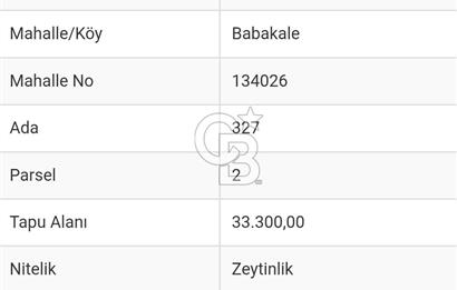 Çanakkale Ayvacık 33.300 metrekare Zeytinlik (Tek Hisse)