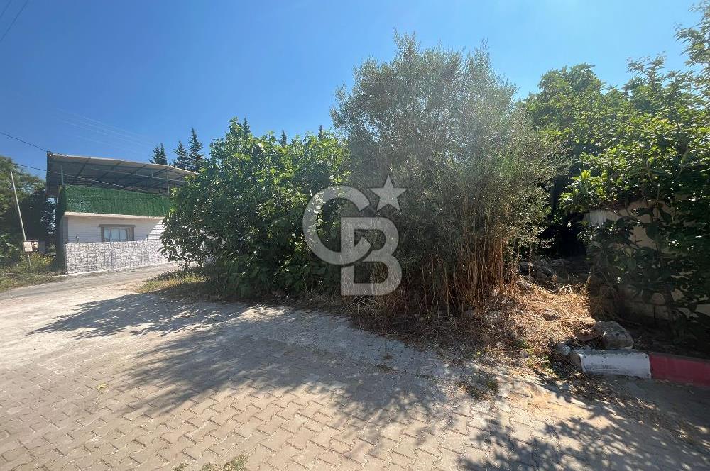 İzmir Torbalı Yoğurtçular 170 m2 Satılık Arsa