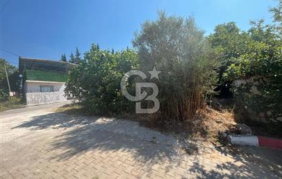 İzmir Torbalı Yoğurtçular 170 m2 Satılık Arsa