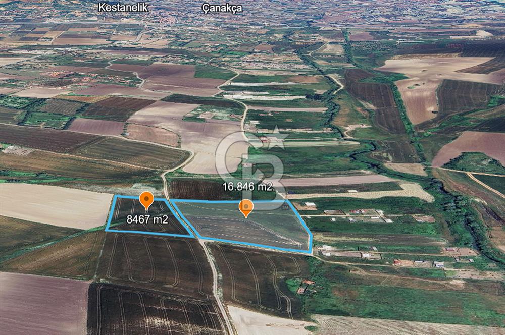 ÇATALCA KESTANELİK'TE 16.846 M² SATILIK TARLA