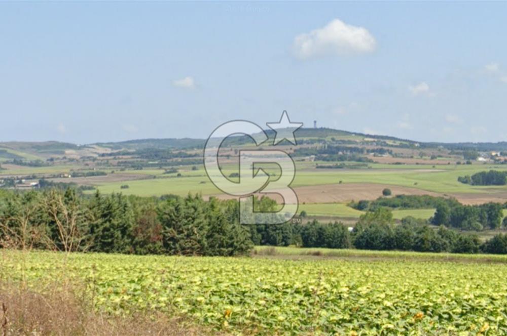 ÇATALCA KESTANELİK'TE 16.846 M² SATILIK TARLA