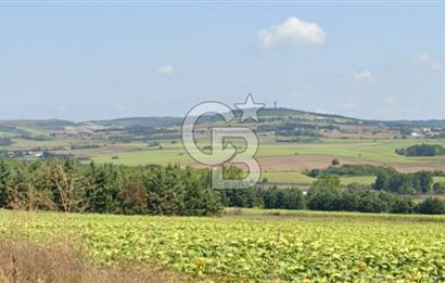 ÇATALCA KESTANELİK'TE 16.846 M² SATILIK TARLA