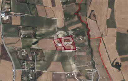 ÇATALCA KESTANELİK'TE 16.846 M² SATILIK TARLA