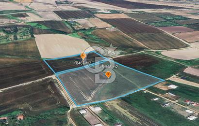 ÇATALCA KESTANELİK'TE 16.846 M² SATILIK TARLA